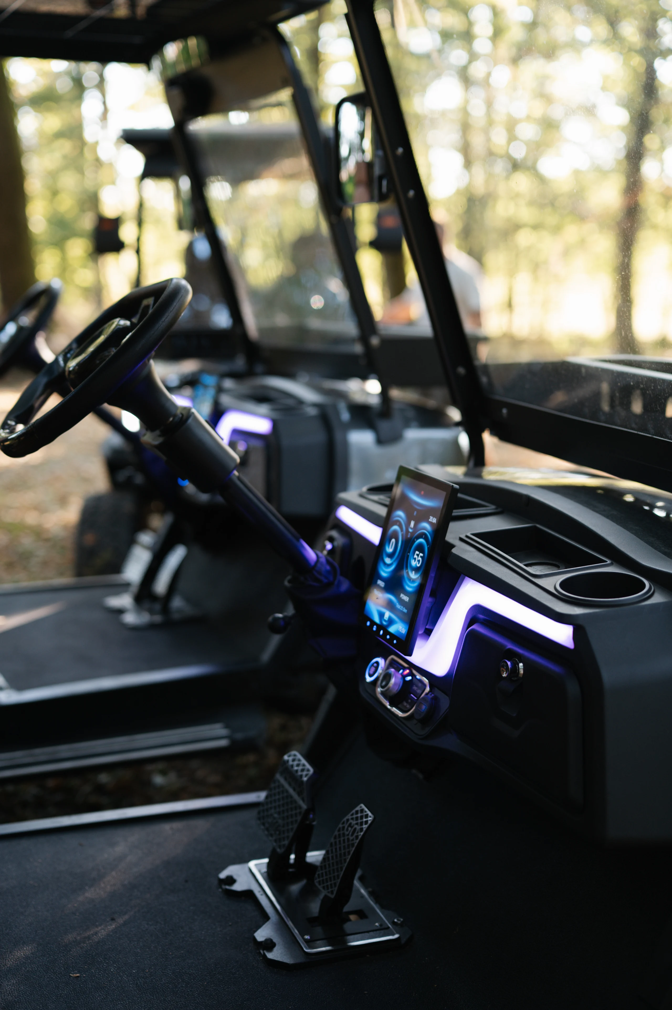Display for the reversing camera