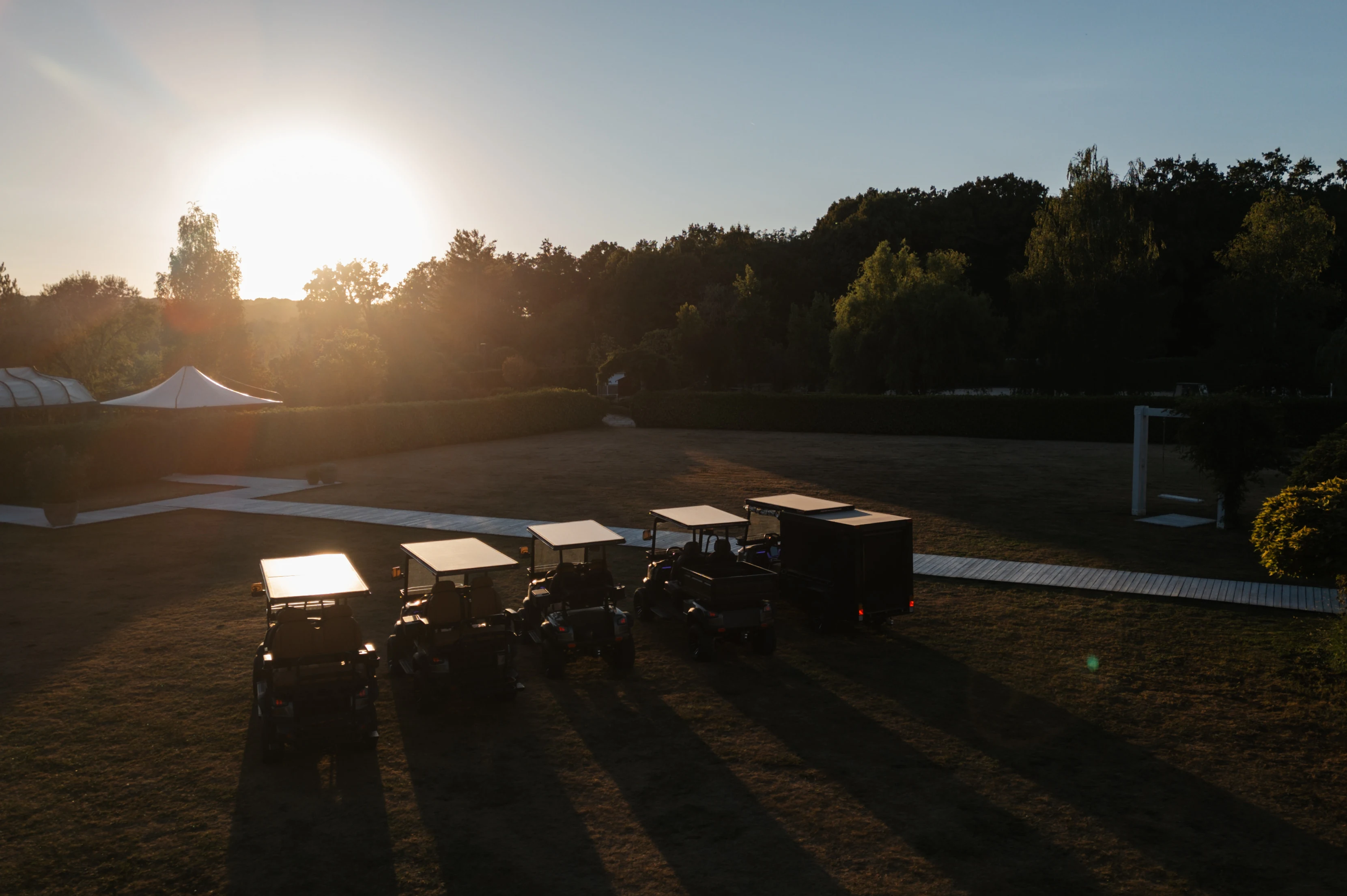 The collection in evening light