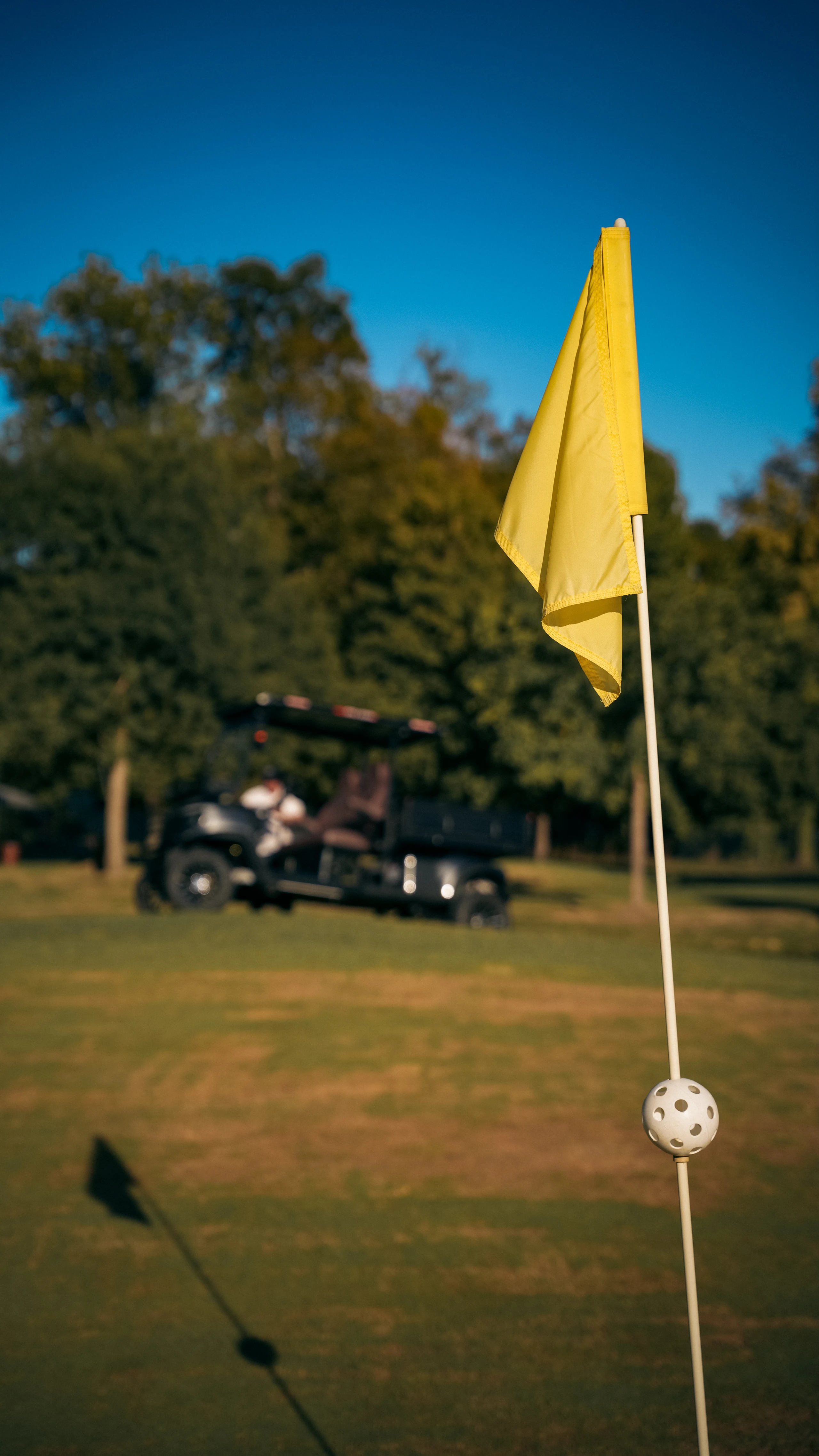 Cargo Professional — by the golf flag