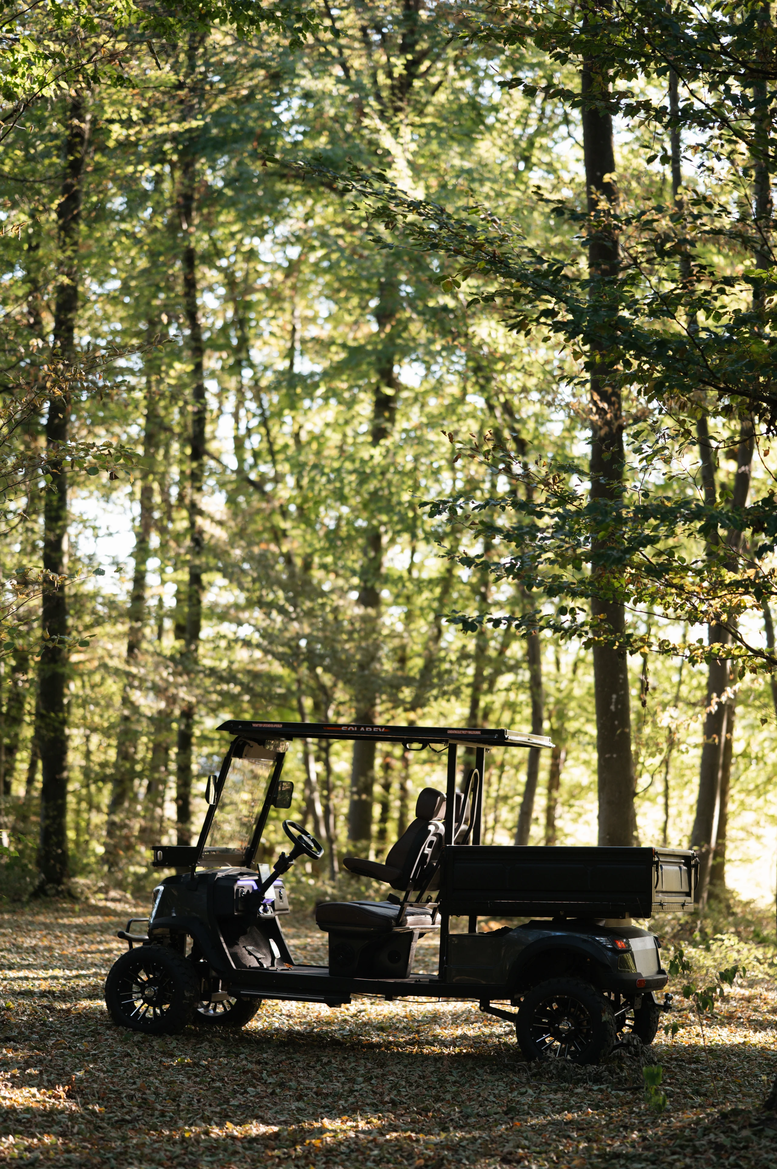 Cargo Professional — in the woodland landscape
