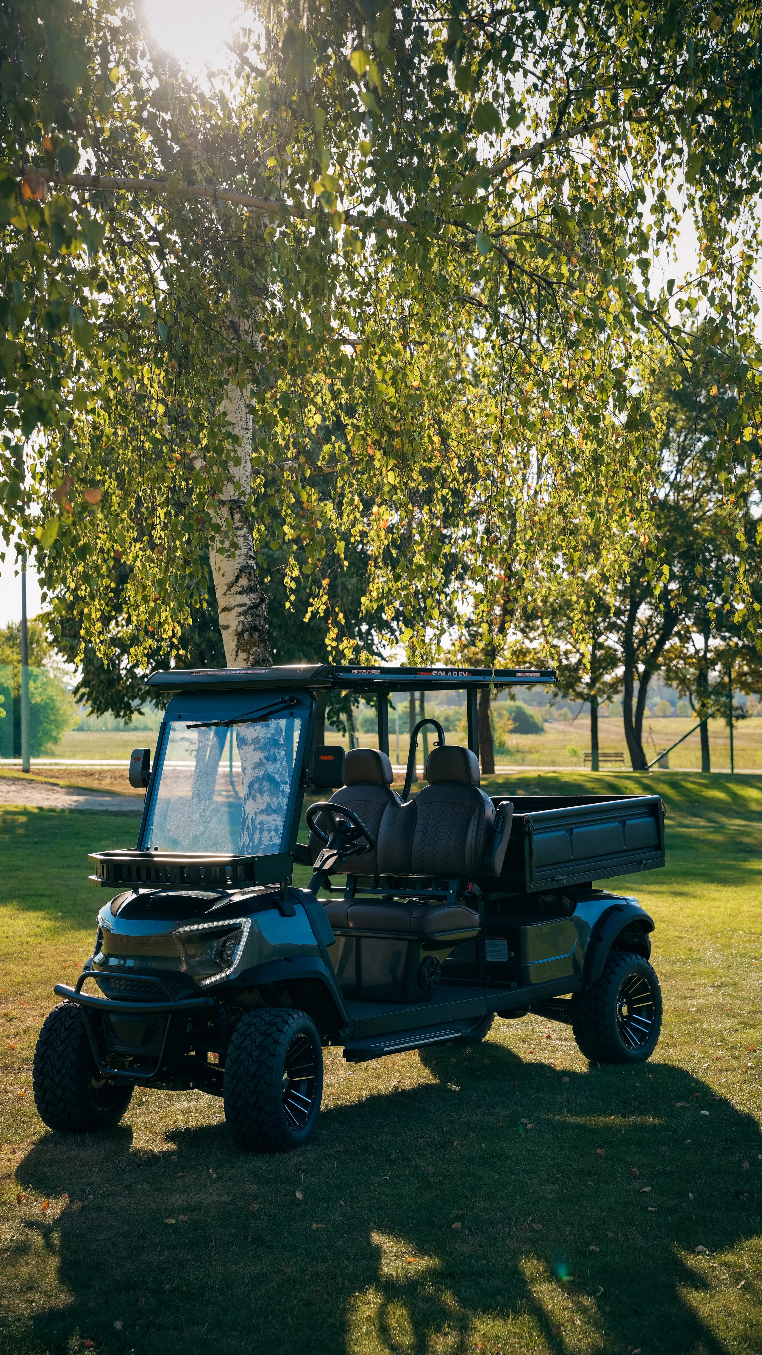 Cargo Professional — among the trees