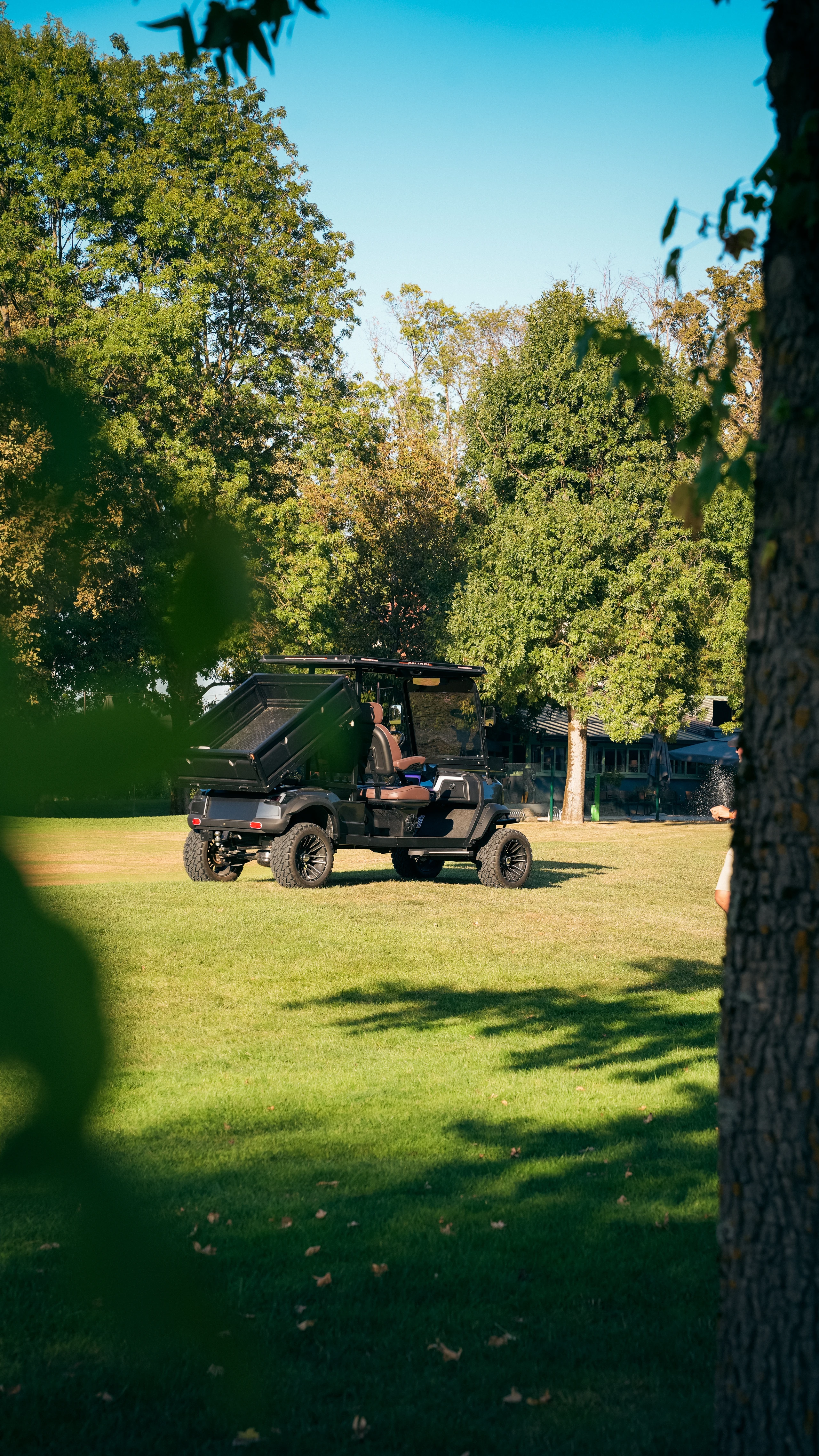 Cargo Professional — in the landscape