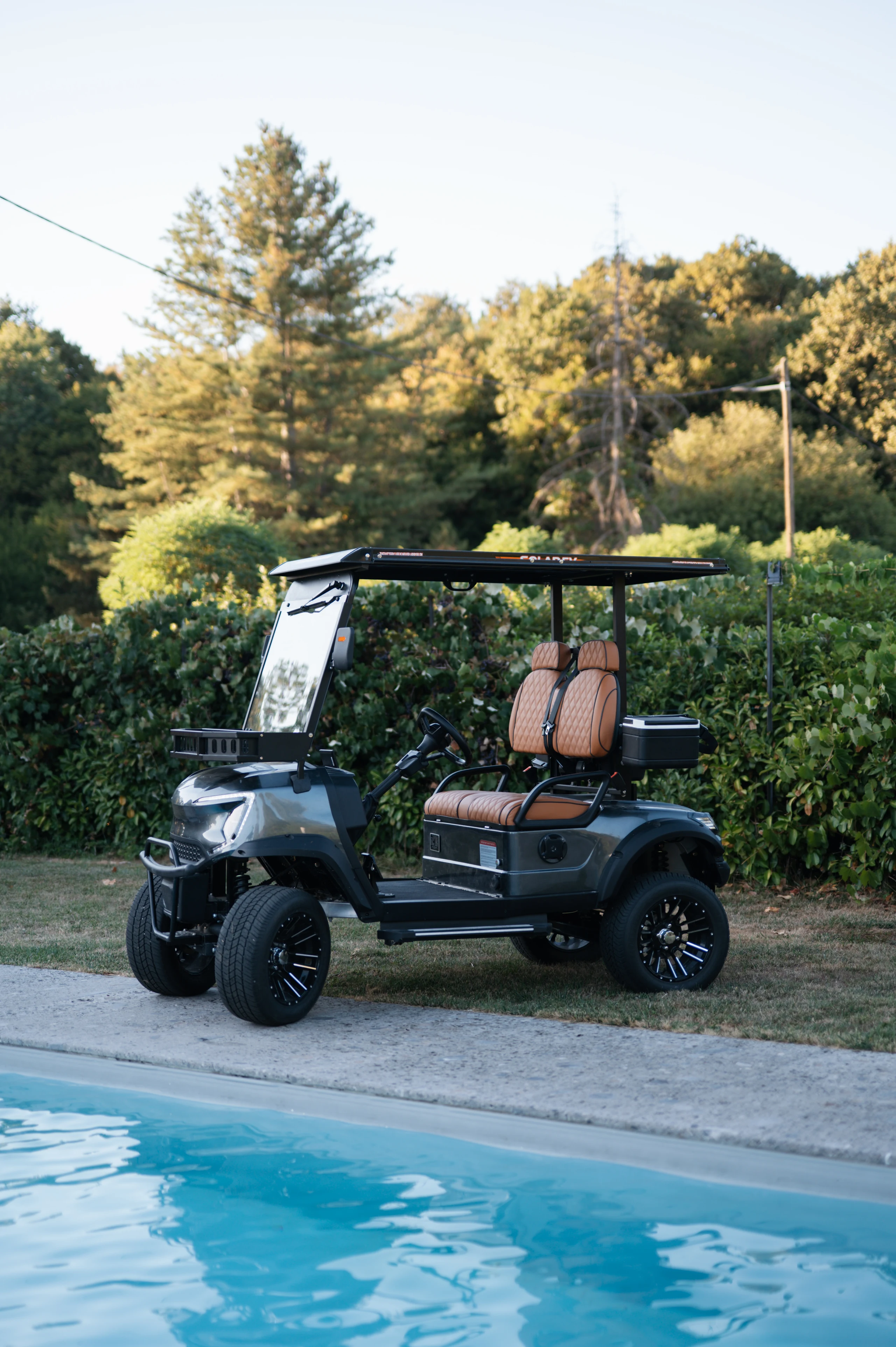Golf Shuttle Elite 2 — side view by the pool