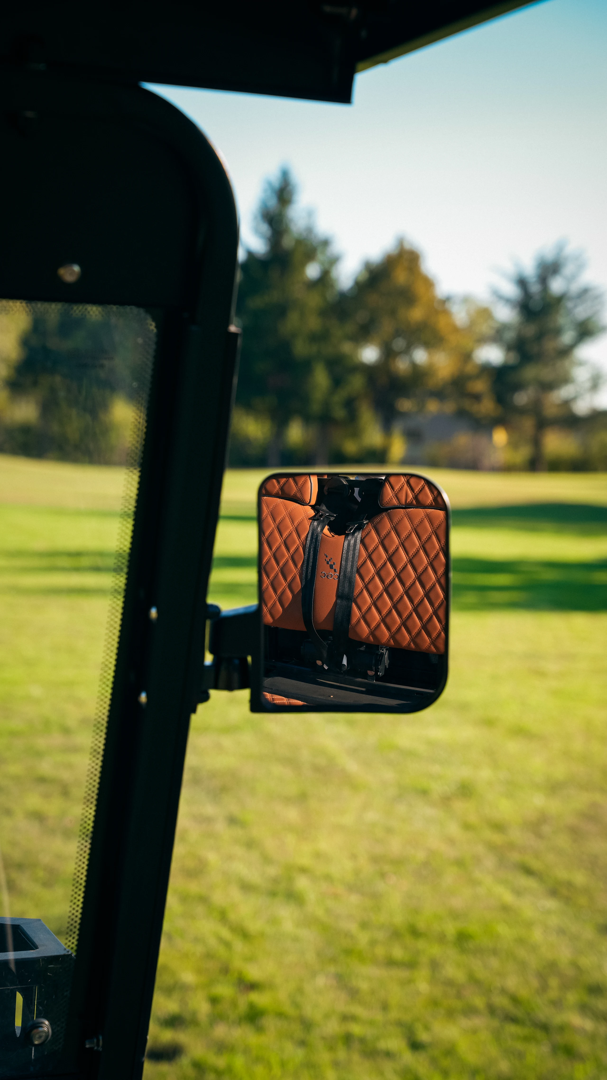 Side mirror and interior reflection