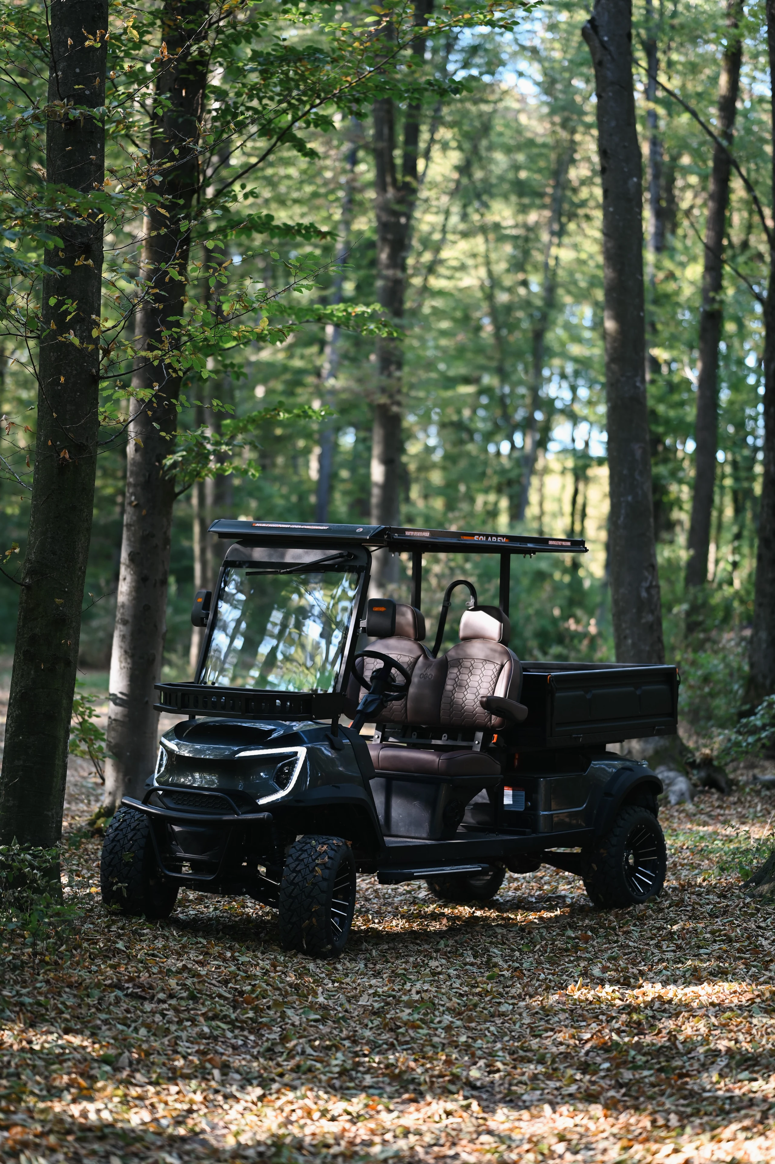 Cargo Professional — front view in the woodland